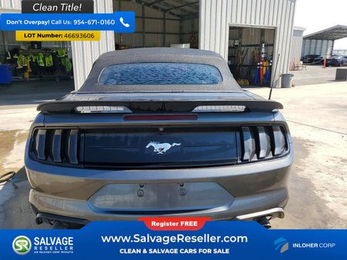 Used 2019 Ford Mustang Premium image 5