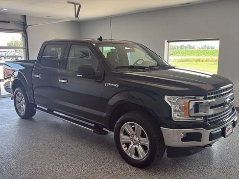 Used 2019 Ford F150 XLT w/ Equipment Group 302A Luxury AWD/4WD image 5