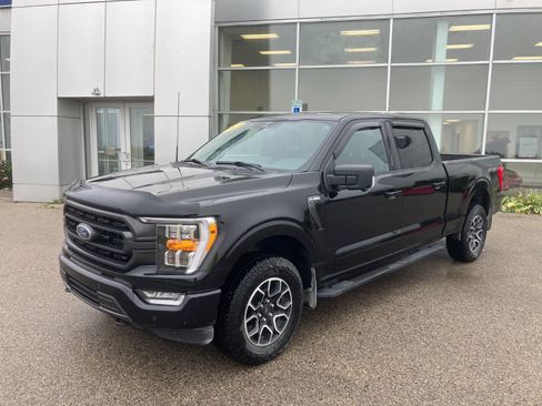 Used 2023 Ford F150 XLT w/ Equipment Group 302A High AWD/4WD image 1