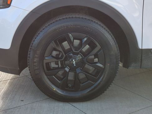 Used 2023 Kia Telluride SX Prestige X-Pro image 13