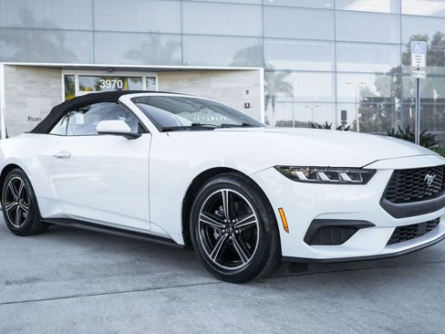 Used 2024 Ford Mustang EcoBoost image 5