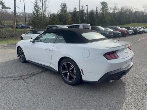 Used 2024 Ford Mustang Premium image 8