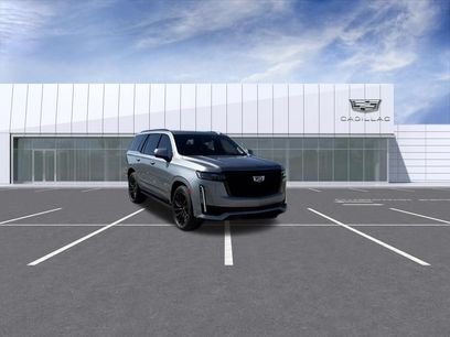 Used 2023 Cadillac Escalade Sport w/ LPO, ONYX Package