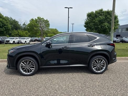 Used 2025 Lexus NX 350h AWD w/ Cold Area Package image 5