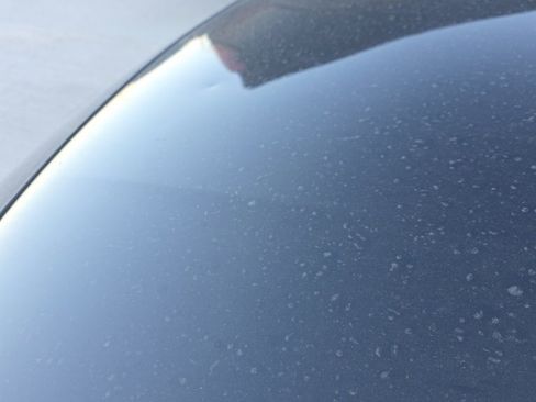 Used 2019 Honda Accord Sport image 11