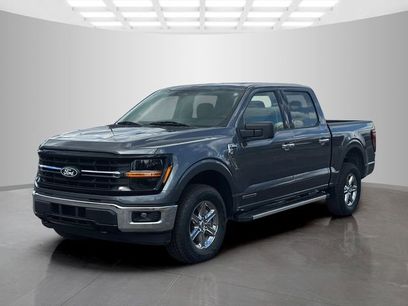Used 2025 Ford F150 XLT w/ Equipment Group 301A Standard