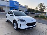 Used 2020 Ford Escape SE image 2