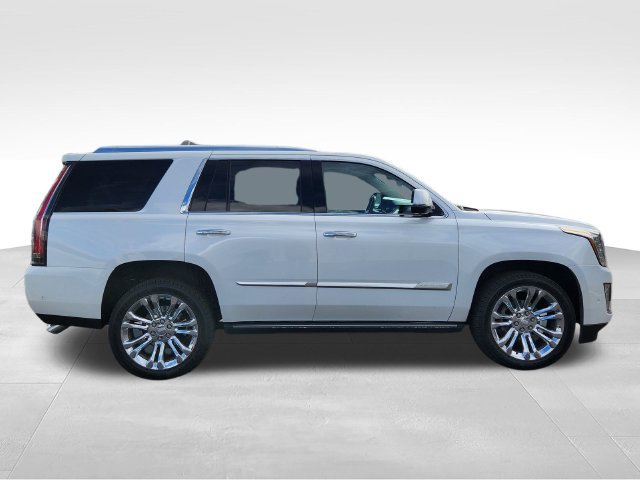 Used 2018 Cadillac Escalade Premium Luxury w/ LPO, Radiant Package AWD/4WD image 7