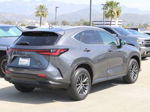 Certified 2024 Lexus NX 250 250 Base w/ Cold Area Package image 21