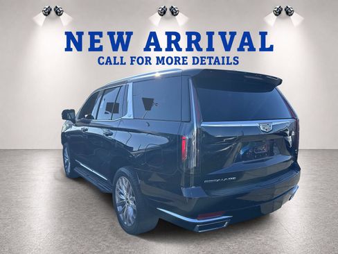 Used 2023 Cadillac Escalade Premium Luxury w/ LPO, Illumination Package RWD image 6