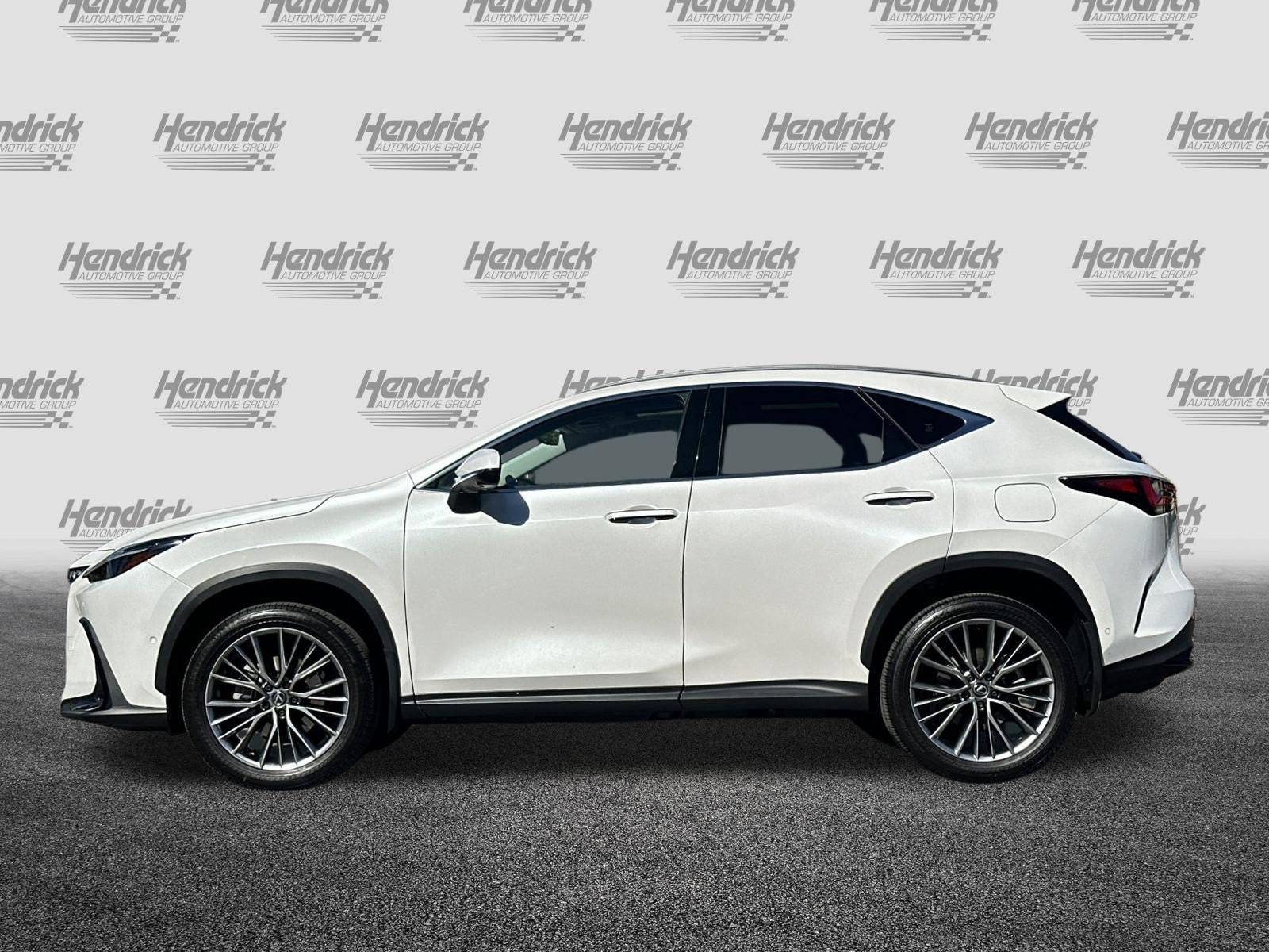 Certified 2024 Lexus NX 350h AWD w/ Vision Package image 8