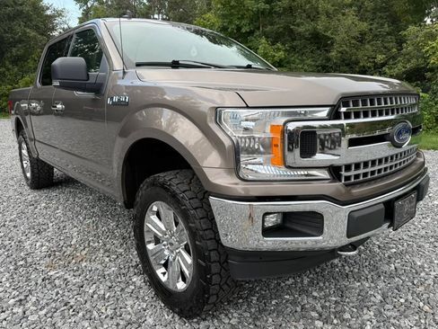 Used 2019 Ford F150 XLT w/ Equipment Group 302A Luxury AWD/4WD image 1