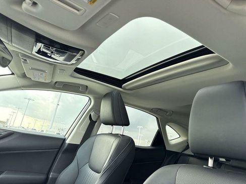 Certified 2024 Lexus NX 250 FWD w/ Cold Area Package image 22