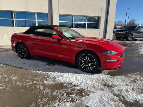 Used 2019 Ford Mustang Premium image 5