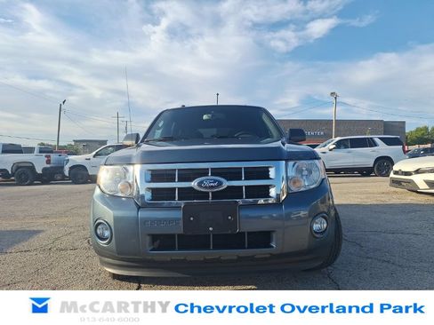 Used 2011 Ford Escape XLT AWD/4WD image 4