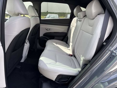 New 2026 Hyundai Tucson Limited image 10