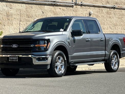Used 2025 Ford F150 XLT w/ Equipment Group 301A Standard AWD/4WD image 7
