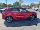 Used 2023 Ford Escape ST-Line Select w/ Tech Pack #2 image 6
