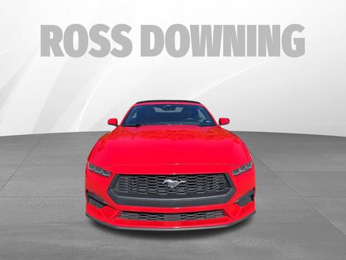 Used 2024 Ford Mustang Premium RWD image 2