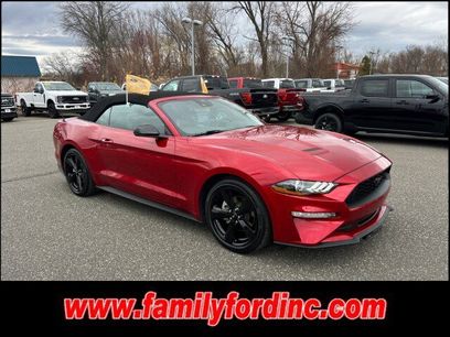 Used 2023 Ford Mustang Premium w/ Equipment Group 201A