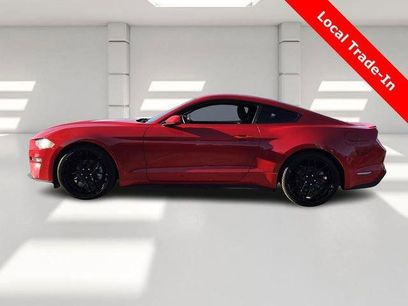 Used 2019 Ford Mustang Coupe w/ Equipment Group 101A