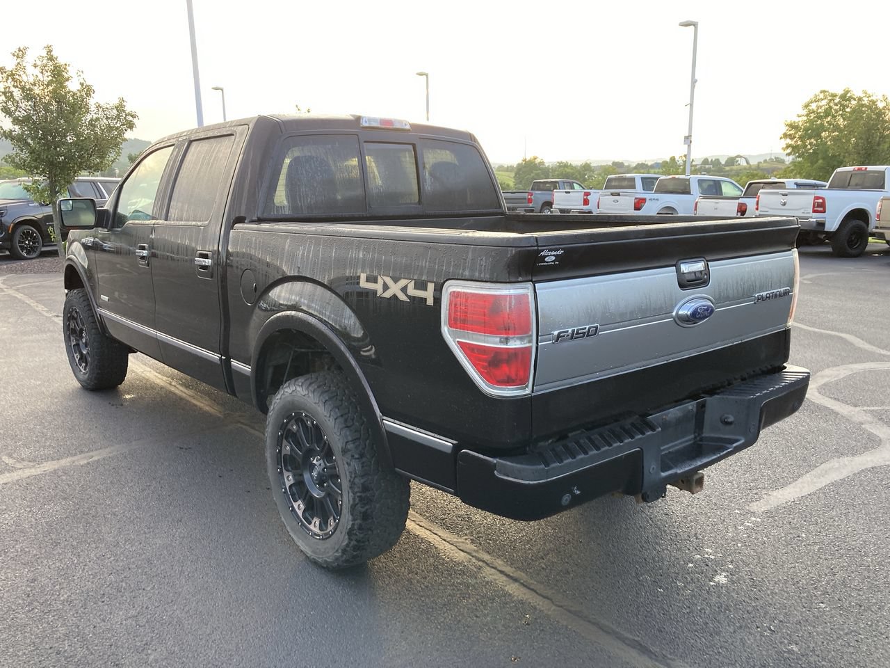 Used 2013 Ford F150 Platinum AWD/4WD image 5