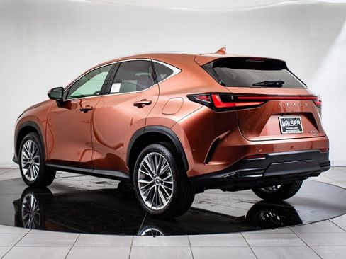 Used 2025 Lexus NX 350 AWD w/ Cold Area Package image 6