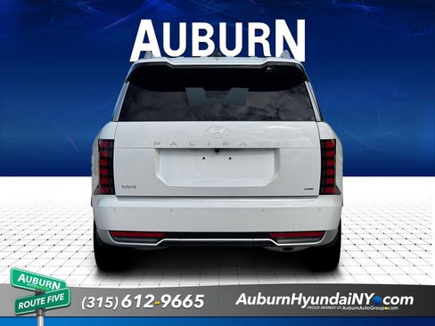 New 2026 Hyundai Palisade Calligraphy AWD/4WD image 6