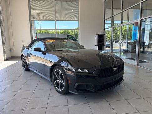 Used 2024 Ford Mustang Premium RWD image 3
