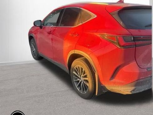 Certified 2024 Lexus NX 350 AWD w/ Cold Area Package image 7