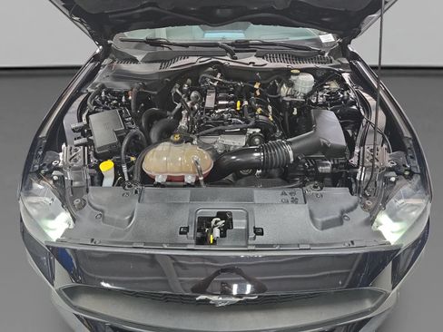 Used 2019 Ford Mustang Coupe RWD image 36