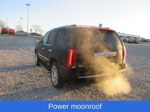 Used 2010 Cadillac Escalade Luxury image 4