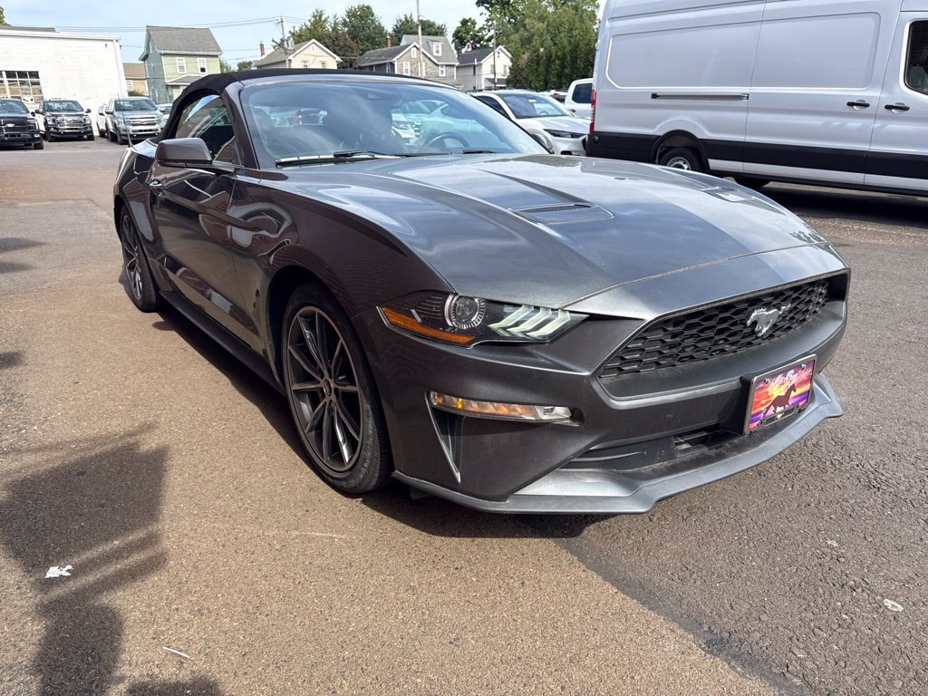 Used 2019 Ford Mustang Premium w/ Equipment Group 201A RWD image 3