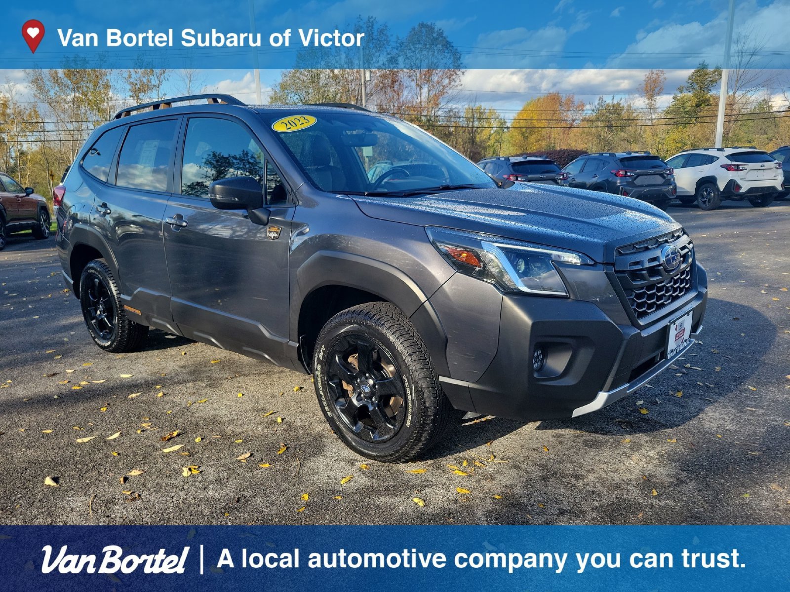 Certified 2023 Subaru Forester Wilderness AWD/4WD image 7