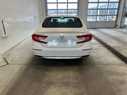 Used 2020 Honda Accord EX-L image 6
