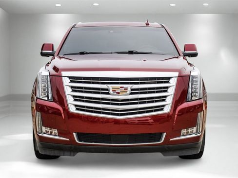 Used 2019 Cadillac Escalade Platinum image 5