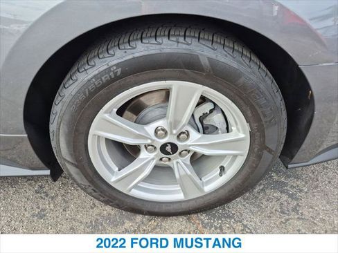 Used 2022 Ford Mustang Coupe RWD image 11