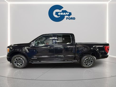 Used 2023 Ford F150 XLT w/ Equipment Group 302A High image 2