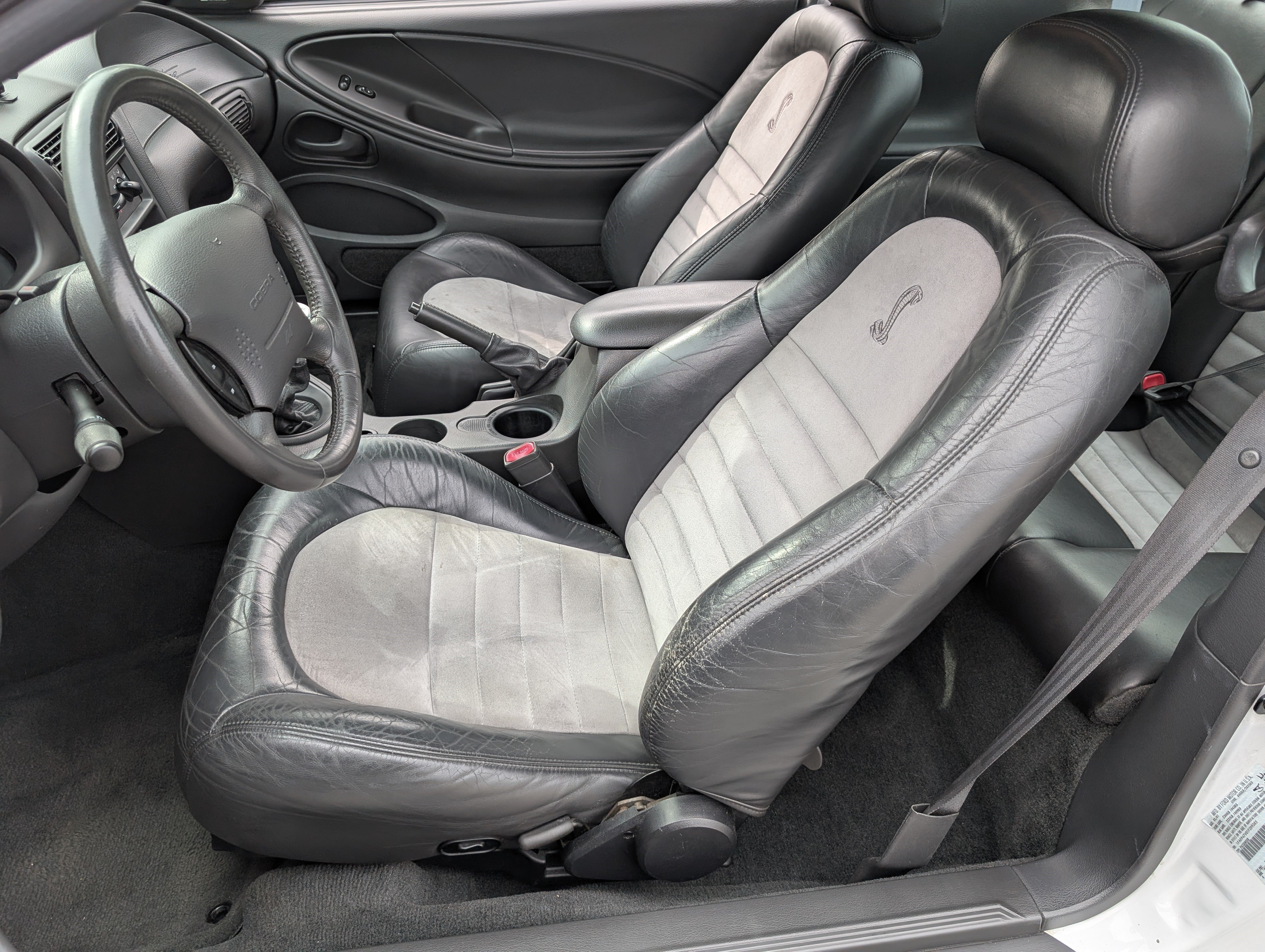 Used 2001 Ford Mustang Cobra RWD image 15