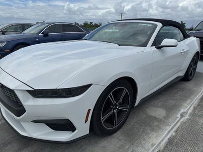 Used 2025 Ford Mustang Premium