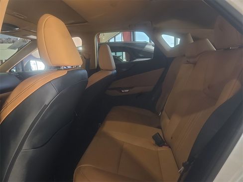 Certified 2025 Lexus NX 250 FWD w/ Accessory Package (Z1) image 13