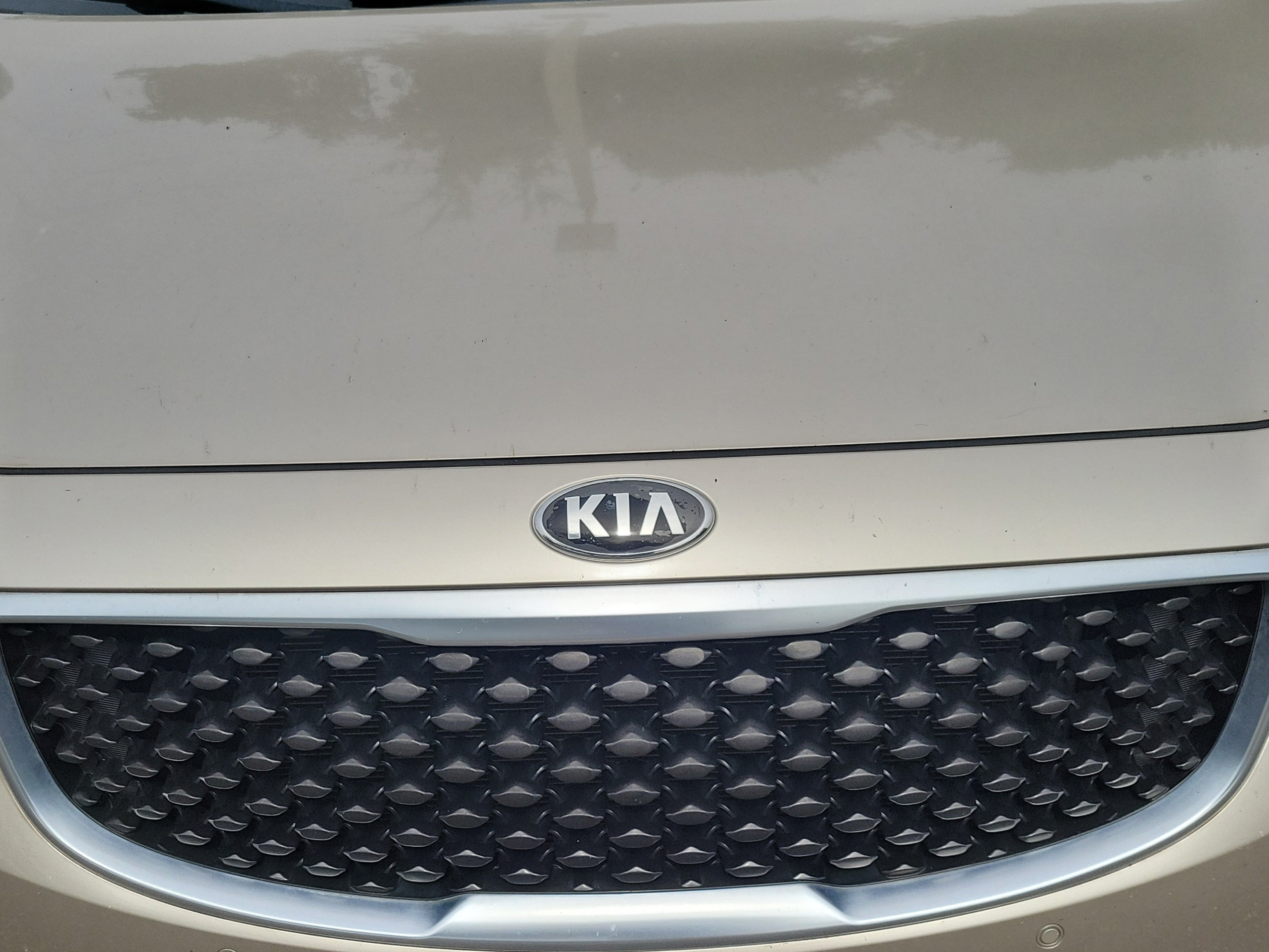 Used 2017 Kia Sedona LX w/ LX Essentials Premium Package FWD image 14