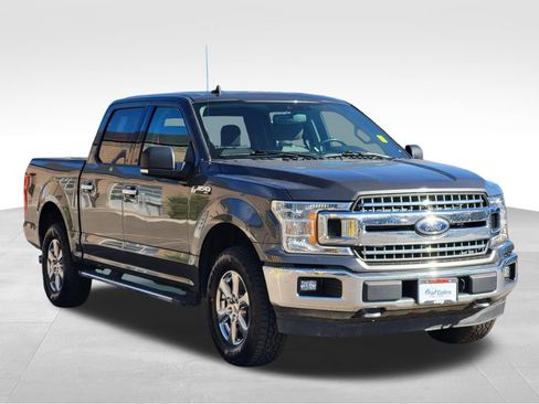 Used 2019 Ford F150 XLT w/ Equipment Group 302A Luxury AWD/4WD image 3