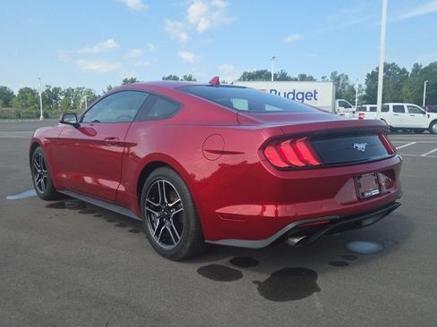 Used 2023 Ford Mustang Coupe w/ Equipment Group 101A RWD image 11