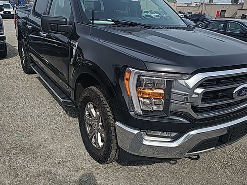 Used 2023 Ford F150 XLT w/ Equipment Group 302A High image 4