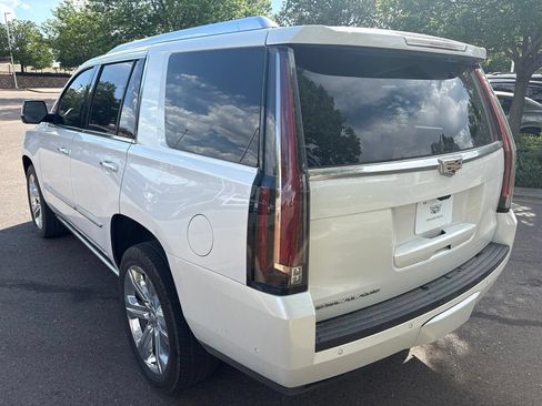 Used 2019 Cadillac Escalade Platinum AWD/4WD image 3