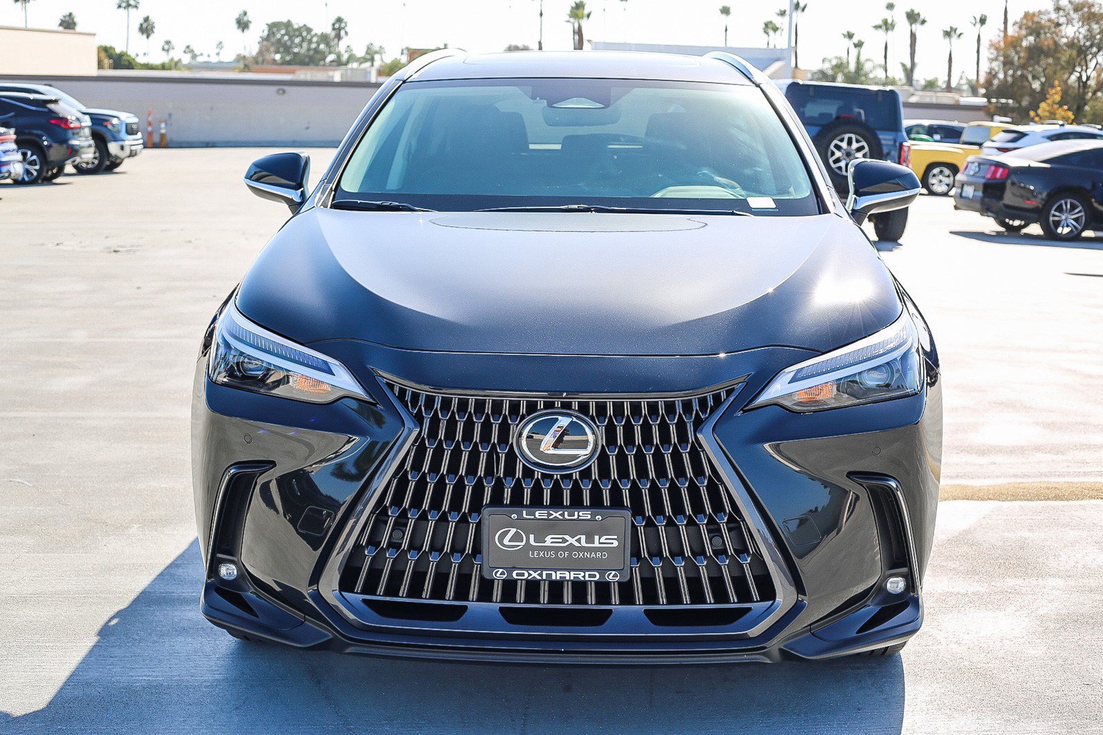 Used 2022 Lexus NX 350 AWD image 2