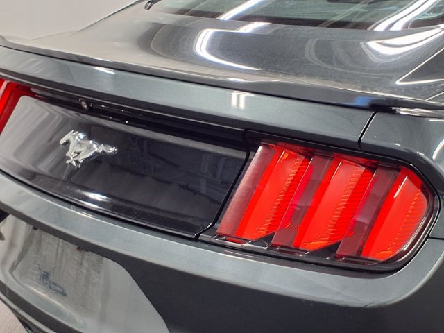 Used 2016 Ford Mustang Coupe w/ Ecoboost Performance Package RWD image 3