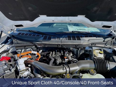 New 2025 Ford F150 XLT w/ Equipment Group 302A MID image 38