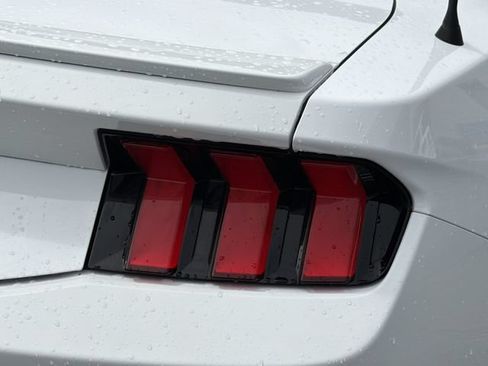 Used 2024 Ford Mustang Premium RWD image 6